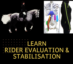 Hands-On Rider Evaluation & Stabilisation Webinar Series. Competence Certified (Lantra) from 15th October
