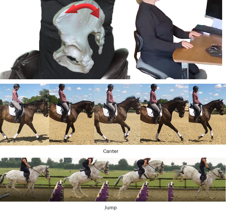 Shall We Dance Low Effort, High Performance, Horse Rider Postural Conditioning Techniques